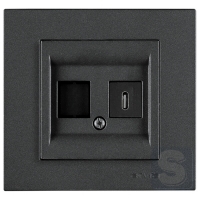 Розетка USB Type-C 5V-2.4A Arvia Electric KAREN Димчастий (20 04 2000 253)